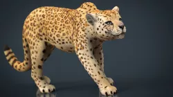 JAGUAR 3D model