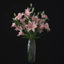 Lily 01 3D model