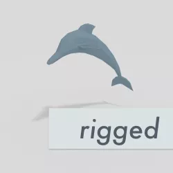LowPoly Dolphin rigged Low-poly 3D model