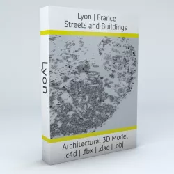 Lyon Streets and Buildings 3D model
