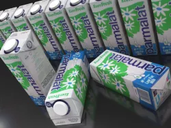 milk or juice carton textured as milk pack 3D model