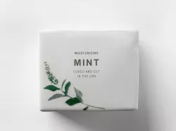 Mint Duo Soap 3D model