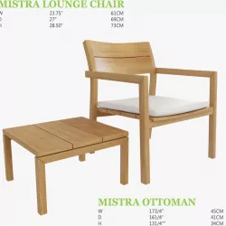 Mistra Lounge Chair and Ottoman 3D model