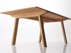 Mitis Rectangular 3D model
