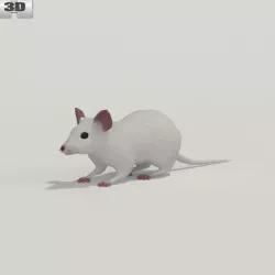 Mouse White 3D model