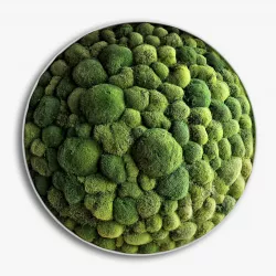 panel moss boulder 3D model