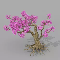 Peach blossom tree 2 3D model