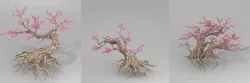 Peach blossom tree 3D model