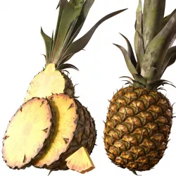 Pineapple 3D model