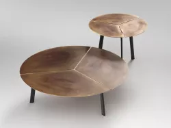 Placas 3D model