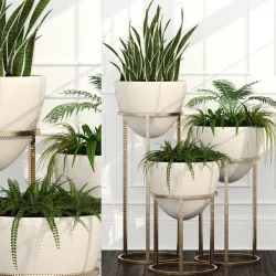plant 39 Room plants 14 3D model
