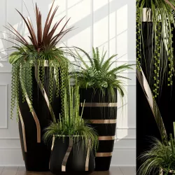 plant 43 Room plants 15 3D model