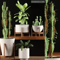 plants set 98 3D model