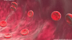 rbc blood cell 3D model