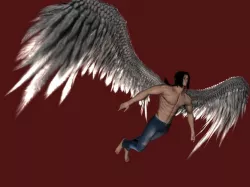 Realistic Angel Feather Wings Low-poly  3D model