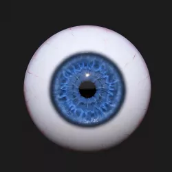 Realistic Eye  3D model