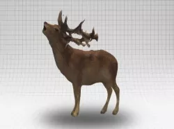 Scanned Deer 3D model