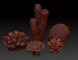Sea Coral Scan Collection 3D model