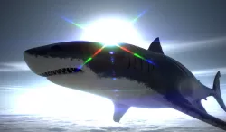 Shark with U5 Demo Scene and UE4 Textures-Animated Game-Ready Low-poly  3D model