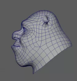 Shrek face 3D model