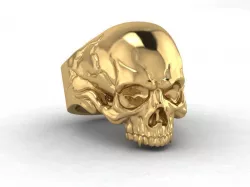 skull 3D print model