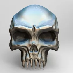 Skull bone 3D model