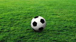 Soccer Ball 3D model