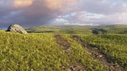 Spring field 3D model