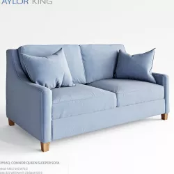 Taylor King 3D model