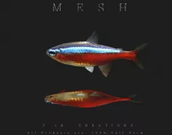Tetra Fish Low-poly  3D model