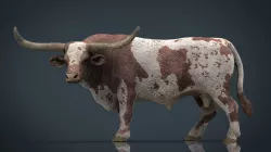 Texas Longhorn Low-poly  3D model