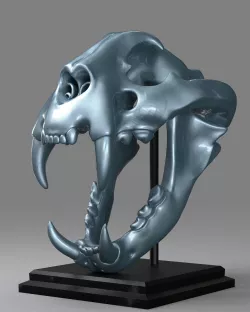 Tiger Skull 3D print model