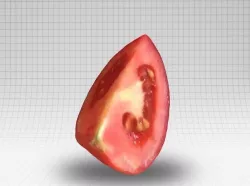 Tomato scan 3D model