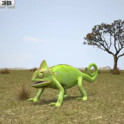  Veiled Chameleon 3D model