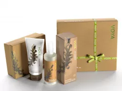 Voya Cosmetic Set 3D model