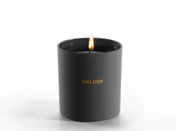 Walden Candle 3D model
