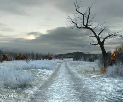 Winter suburbs 3D model
