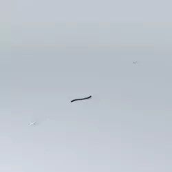 Airplane Runway Free 3D model
