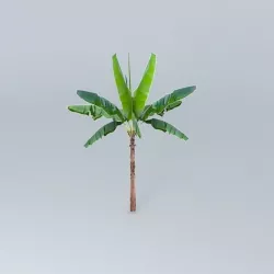 Babana Palm Tree Free 3D model