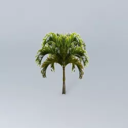 Christmas Palm Tree Free 3D model