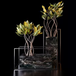 Croton trees 3D model