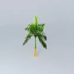 Cuban Royal Palm Tree Free 3D model