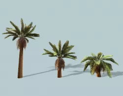 Date Palm Low-poly  3D model