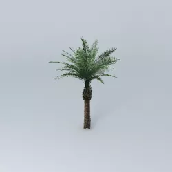 Date Palm Tree Free 3D model