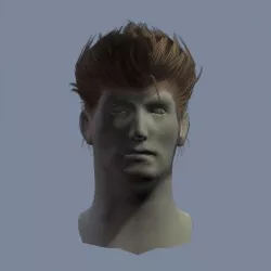hair man 2 Low-poly  3D model