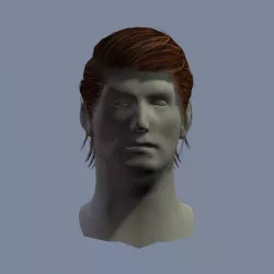 hair man 4 Low-poly  3D model