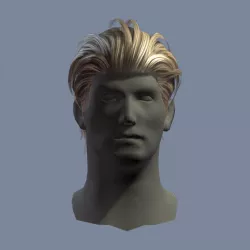 hair man 5 Low-poly  3D model