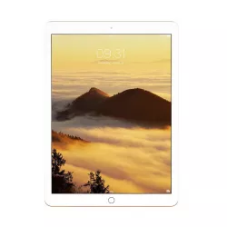iPad Pro 13 Gold 3D model