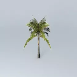 King Palm Archontophoenix alexandrae 02 Free 3D model