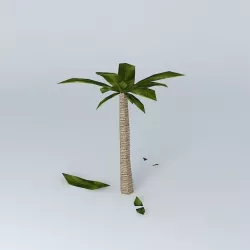 palm Free 3D model